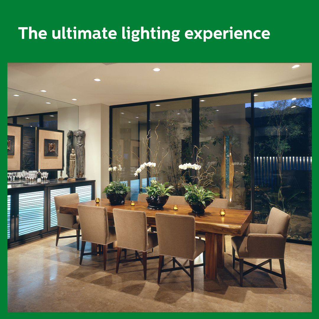 Philips Concealed Ceiling Light - Image 4