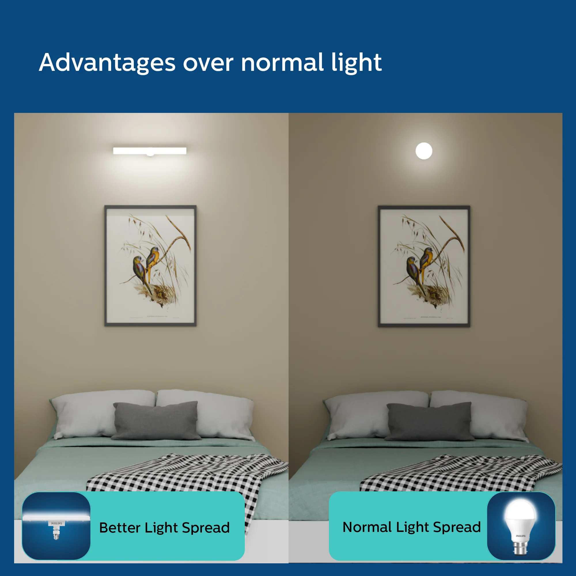 Philips LED T-Bulb - Image 4